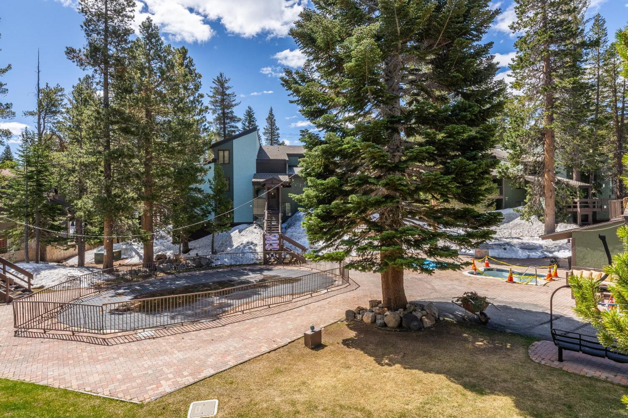 Fully Renovated! St Anton #17 Ski In Ski Out 1 Bedroom 1 Bathroom Condo! Sleeps Up To 4! Mammoth Lakes Eksteriør billede
